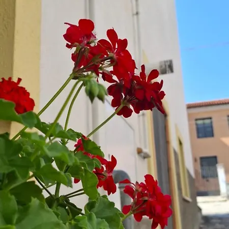 Al Vicoletto Pratola Peligna